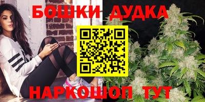 индика Комсомольск-на-Амуре