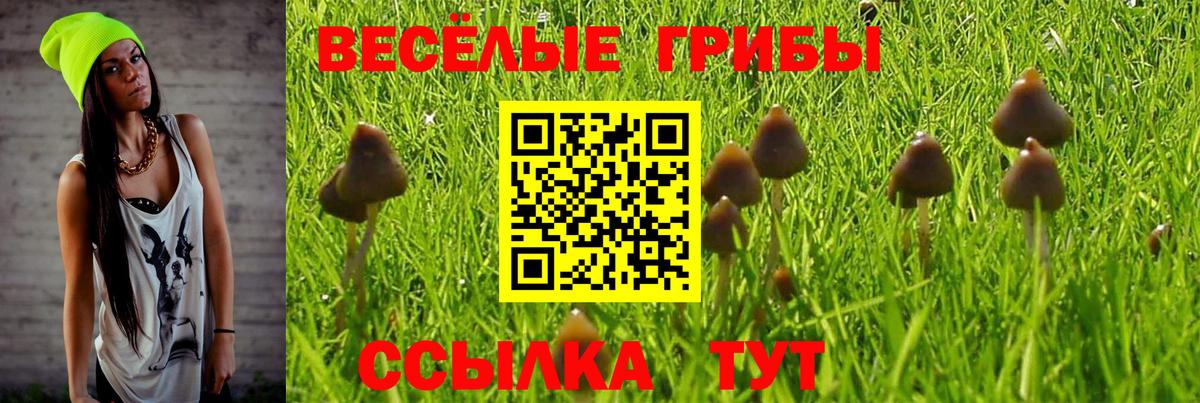 Галлюциногенные грибы мухоморы Тюмень